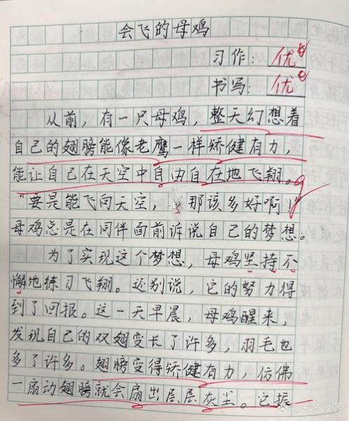 飞鸟乐园有什么好玩的_飞鸟乐园作文怎么写-第1张图片-星辰妙记