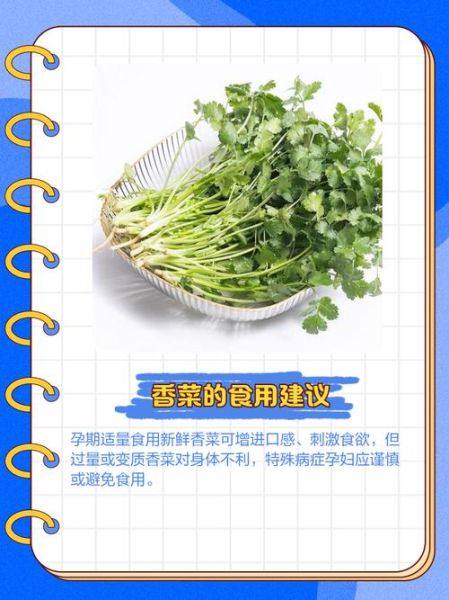 孕妇能吃香菜吗初期_怀孕初期吃香菜安全吗-第2张图片-星辰妙记
