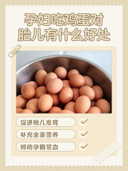 孕妇不吃鸡蛋怎么办_孕妇不吃鸡蛋如何补蛋白-第3张图片-星辰妙记 孕妇不吃鸡蛋怎么办_孕妇不吃鸡蛋如何补蛋白-第3张图片-星辰妙记