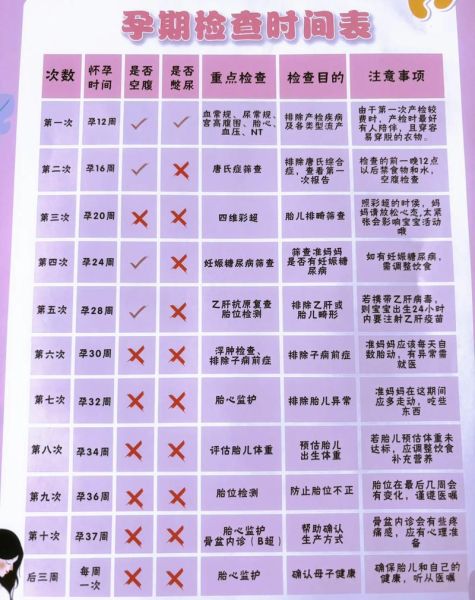 孕妇健康手册_孕期检查时间表-第3张图片-星辰妙记