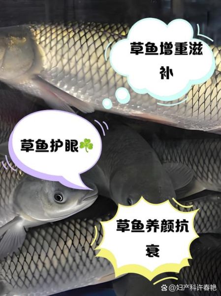 孕妇可以吃草鱼吗_草鱼对胎儿的影响-第1张图片-星辰妙记