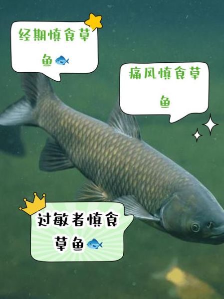 孕妇可以吃草鱼吗_草鱼对胎儿的影响-第2张图片-星辰妙记