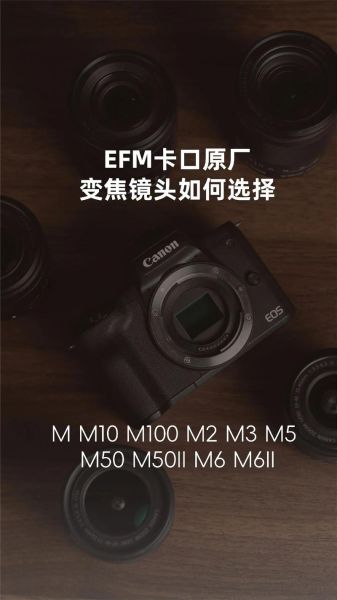 佳能efm镜头推荐_佳能efm镜头怎么选-第1张图片-星辰妙记