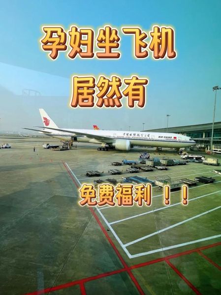 孕妇梦见坐飞机是什么意思_孕妇梦见坐飞机预示生男生女-第1张图片-星辰妙记