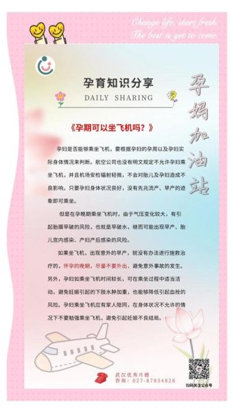 孕妇梦见坐飞机是什么意思_孕妇梦见坐飞机预示生男生女-第2张图片-星辰妙记