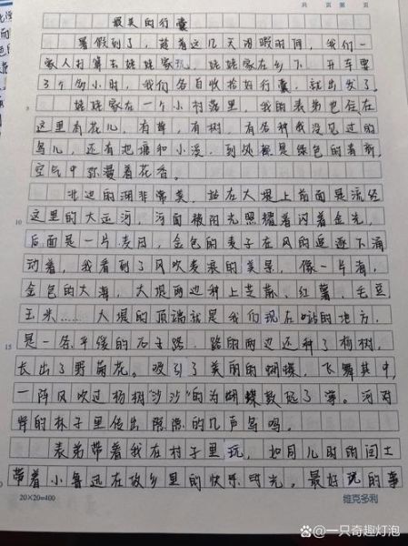 备好的行囊作文怎么写_如何写出高分细节-第1张图片-星辰妙记