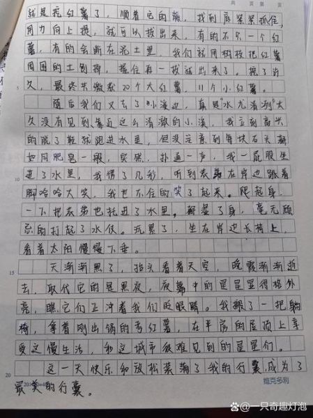 备好的行囊作文怎么写_如何写出高分细节-第2张图片-星辰妙记