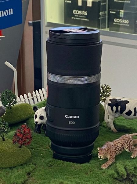 超远镜头怎么选_超远镜头适合拍什么-第2张图片-星辰妙记 超远镜头怎么选_超远镜头适合拍什么-第2张图片-星辰妙记