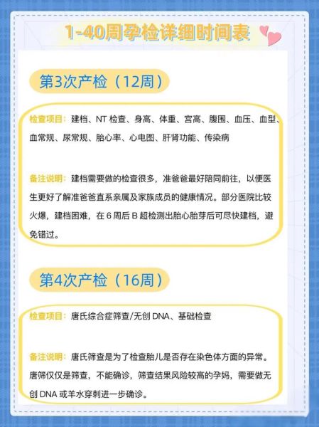 孕妇体检时间表_孕妇体检项目有哪些-第2张图片-星辰妙记 孕妇体检时间表_孕妇体检项目有哪些-第2张图片-星辰妙记