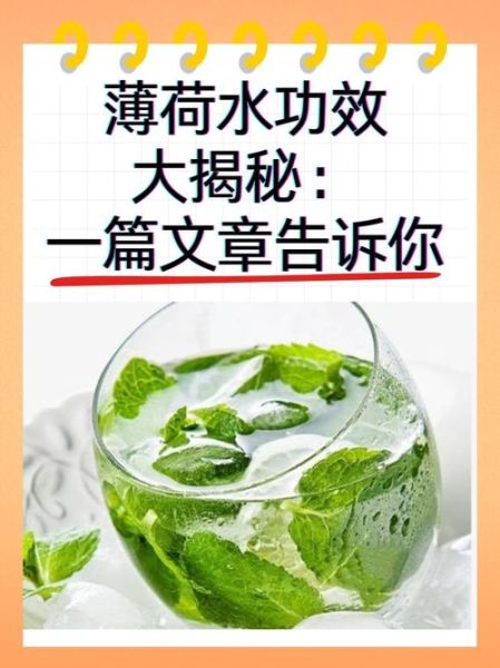 孕妇可以喝薄荷水吗_薄荷水对胎儿有影响吗-第1张图片-星辰妙记