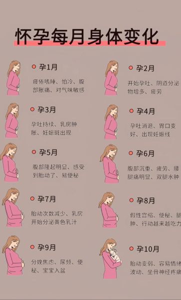 孕妇图怎么看_孕妇图几个月能看清-第1张图片-星辰妙记