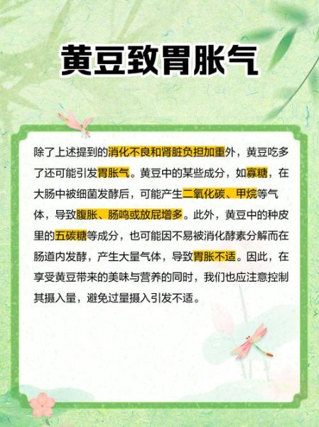 孕妇可以吃黄豆吗_黄豆对胎儿的影响-第1张图片-星辰妙记