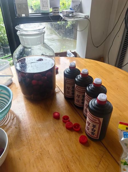 孕妇能喝杨梅酒吗_怀孕喝杨梅酒对胎儿有影响吗-第3张图片-星辰妙记