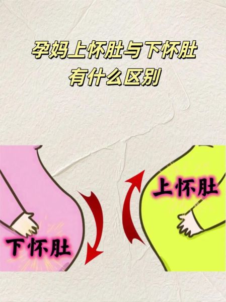孕妇图怎么看_孕妇图几个月能看清-第3张图片-星辰妙记
