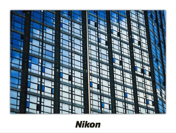 55-300镜头适合拍什么_新手如何用好55-300-第3张图片-星辰妙记