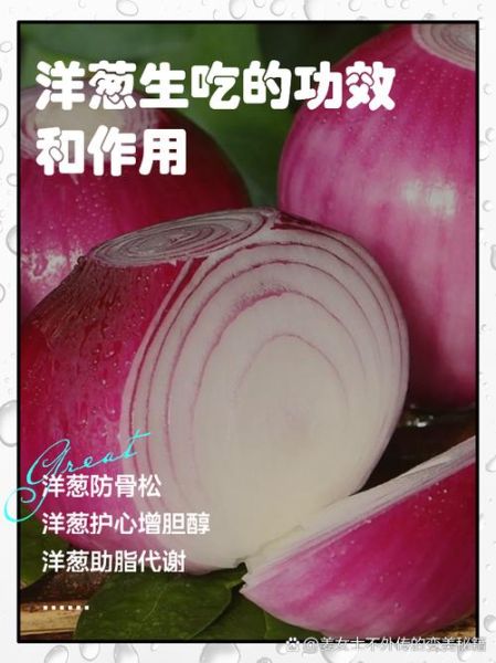 孕妇可以吃洋葱吗_孕期吃洋葱的好处与禁忌-第1张图片-星辰妙记