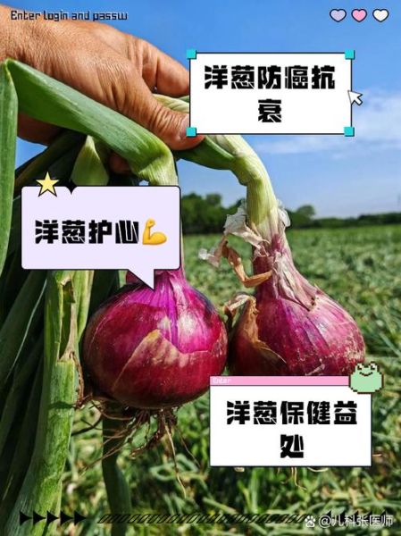 孕妇可以吃洋葱吗_孕期吃洋葱的好处与禁忌-第2张图片-星辰妙记