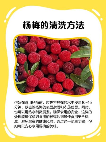 孕妇可以吃冰糖杨梅吗_冰糖杨梅对孕妇安全吗-第2张图片-星辰妙记