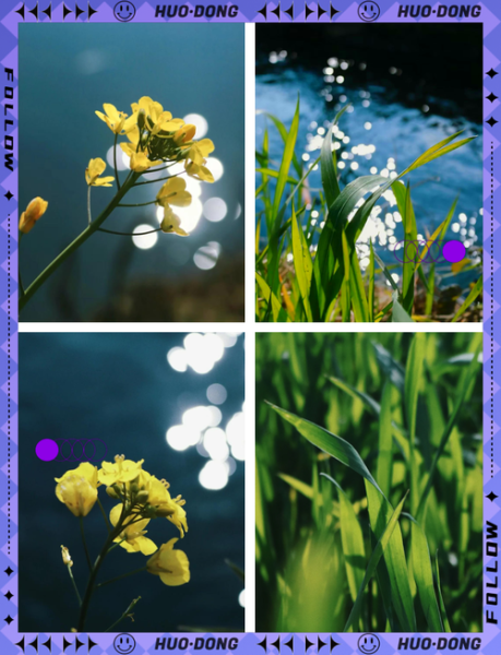 佳能1855镜头适合拍什么_新手入门拍什么题材-第1张图片-星辰妙记 佳能1855镜头适合拍什么_新手入门拍什么题材-第1张图片-星辰妙记