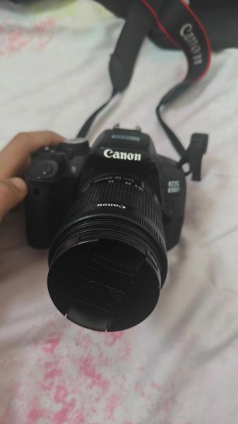 佳能1855镜头适合拍什么_新手入门拍什么题材-第3张图片-星辰妙记 佳能1855镜头适合拍什么_新手入门拍什么题材-第3张图片-星辰妙记