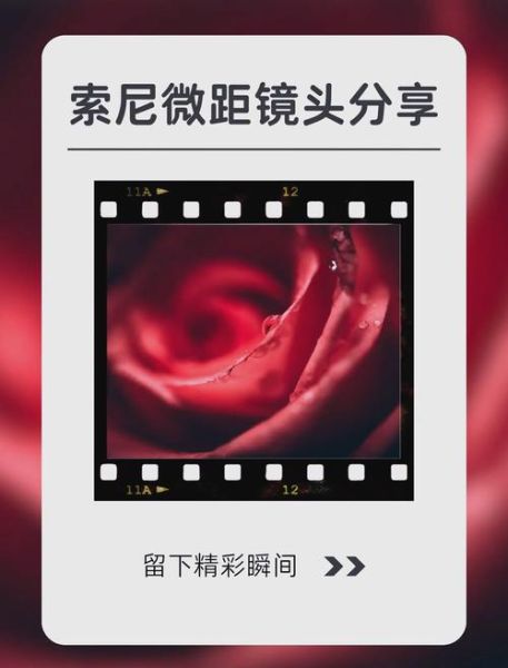 索尼美食镜头推荐哪款_索尼微距镜头怎么选-第1张图片-星辰妙记 索尼美食镜头推荐哪款_索尼微距镜头怎么选-第1张图片-星辰妙记