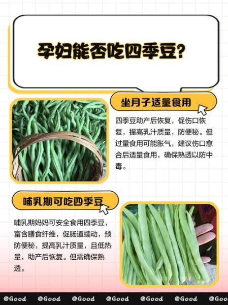 孕妇能吃四季豆吗_四季豆对胎儿有影响吗-第1张图片-星辰妙记