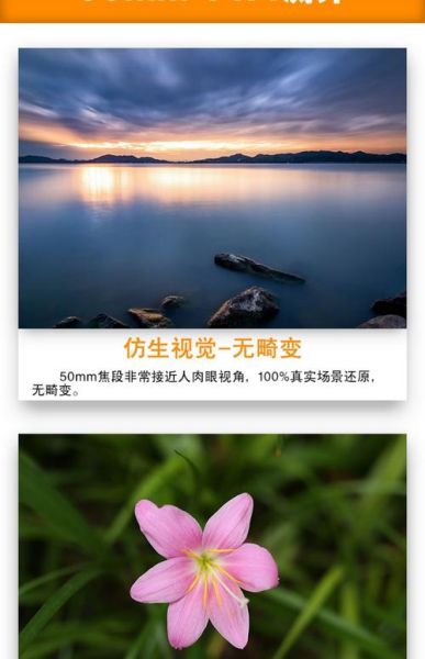 50mm_1.4镜头适合拍什么_如何拍出虚化-第1张图片-星辰妙记