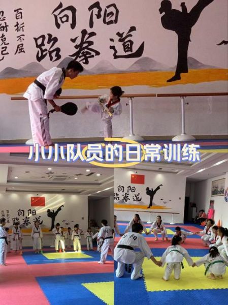 跆拳道有什么好处_初学者如何入门-第3张图片-星辰妙记