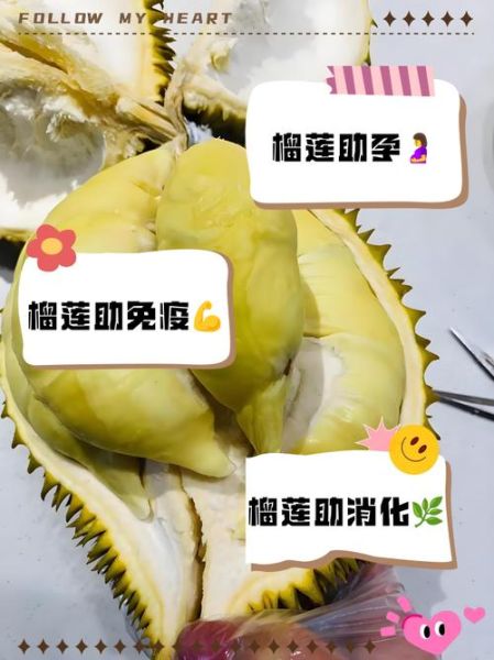 孕妇吃榴莲的好处_孕期能吃榴莲吗-第3张图片-星辰妙记