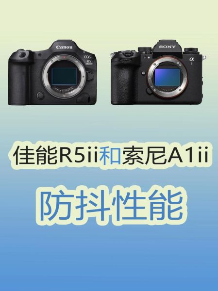 机身防抖和镜头防抖哪个好_区别在哪-第1张图片-星辰妙记