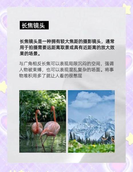 电影镜头有哪些类型_如何运用镜头语言讲好故事-第3张图片-星辰妙记