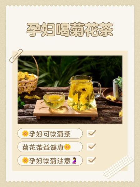 孕妇可以喝菊花枸杞吗_孕期菊花枸杞茶禁忌-第1张图片-星辰妙记 孕妇可以喝菊花枸杞吗_孕期菊花枸杞茶禁忌-第1张图片-星辰妙记