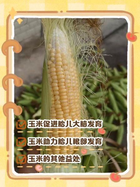 孕妇可以吃包谷吗_包谷对胎儿的好处-第1张图片-星辰妙记