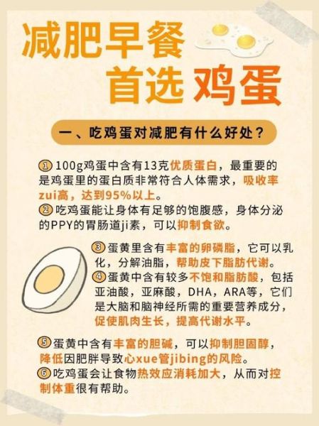 孕妇能多吃鸡蛋吗_孕期每天吃几个鸡蛋合适-第1张图片-星辰妙记 孕妇能多吃鸡蛋吗_孕期每天吃几个鸡蛋合适-第1张图片-星辰妙记