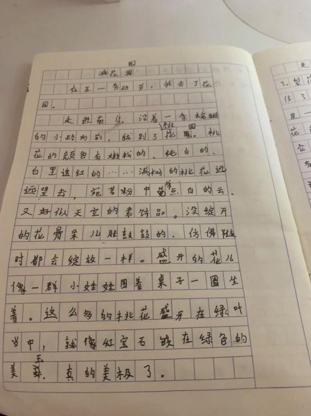 一日游作文400字怎么写_一日游作文400字范文-第1张图片-星辰妙记 一日游作文400字怎么写_一日游作文400字范文-第1张图片-星辰妙记