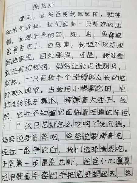 如何写美味的龙虾作文_龙虾作文怎么写才生动-第1张图片-星辰妙记 如何写美味的龙虾作文_龙虾作文怎么写才生动-第1张图片-星辰妙记