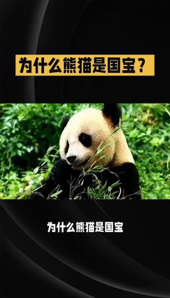 熊猫为什么被称为国宝_熊猫的生活习性有哪些-第3张图片-星辰妙记 熊猫为什么被称为国宝_熊猫的生活习性有哪些-第3张图片-星辰妙记