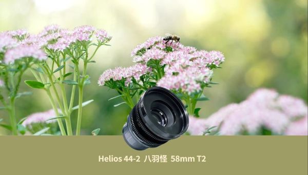 八羽怪镜头是什么_八羽怪镜头值得买吗-第2张图片-星辰妙记