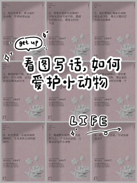 如何培养小学生热爱动物_为什么孩子要爱护小动物-第1张图片-星辰妙记 如何培养小学生热爱动物_为什么孩子要爱护小动物-第1张图片-星辰妙记