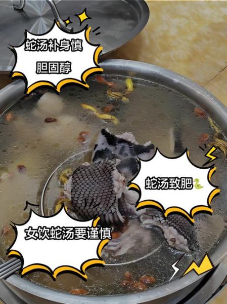 孕妇能不能吃蛇汤_孕妇喝蛇汤对胎儿有影响吗-第1张图片-星辰妙记