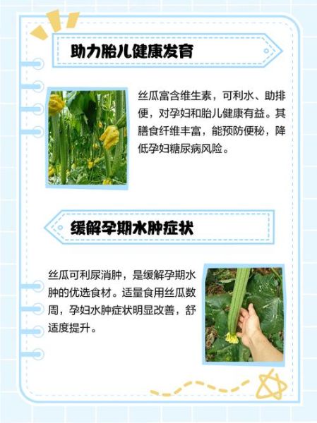 孕妇晚期可以吃丝瓜吗_丝瓜对胎儿好吗-第2张图片-星辰妙记