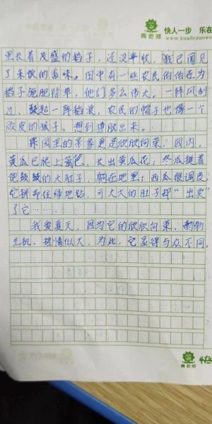 夏日风景作文怎么写_夏天景色描写技巧-第2张图片-星辰妙记