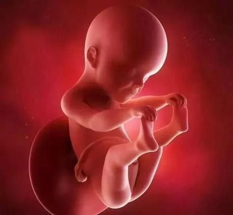 孕妇PORn是什么_对胎儿有影响吗-第2张图片-星辰妙记