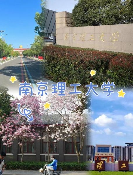 南京理工大学是985还是211_南京理工大学排名怎么样-第2张图片-星辰妙记