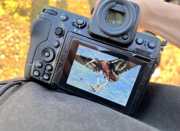 xzp镜头怎么样_xzp镜头适合拍什么-第1张图片-星辰妙记 xzp镜头怎么样_xzp镜头适合拍什么-第1张图片-星辰妙记