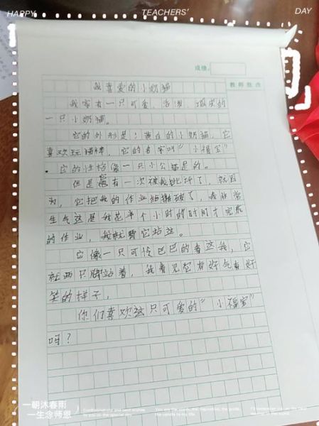 我最喜欢的动物作文怎么写_小学生写猫有哪些细节可写-第1张图片-星辰妙记