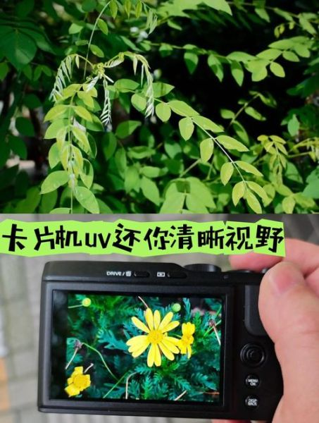 单反镜头怎么保护_镜头保护UV镜有必要吗-第1张图片-星辰妙记 单反镜头怎么保护_镜头保护UV镜有必要吗-第1张图片-星辰妙记