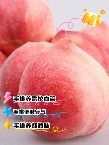 孕妇能吃毛桃吗_毛桃对孕妇的好处与风险-第1张图片-星辰妙记