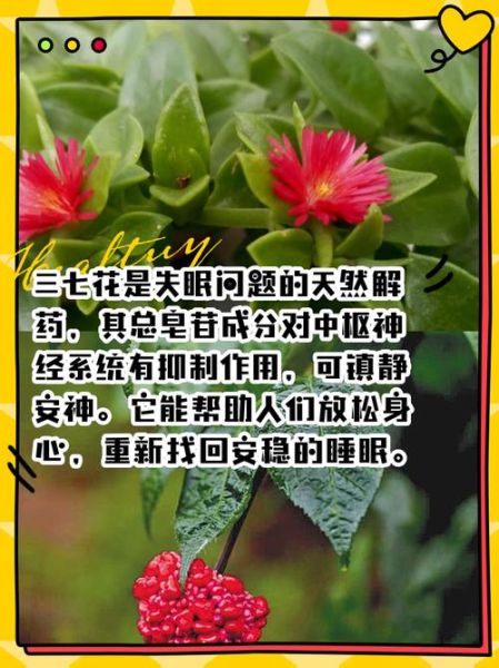 三七花孕妇可以喝吗_孕期喝三七花有什么风险-第1张图片-星辰妙记