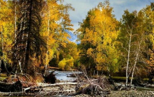 达格镜头是什么_达格镜头怎么用-第3张图片-星辰妙记 达格镜头是什么_达格镜头怎么用-第3张图片-星辰妙记